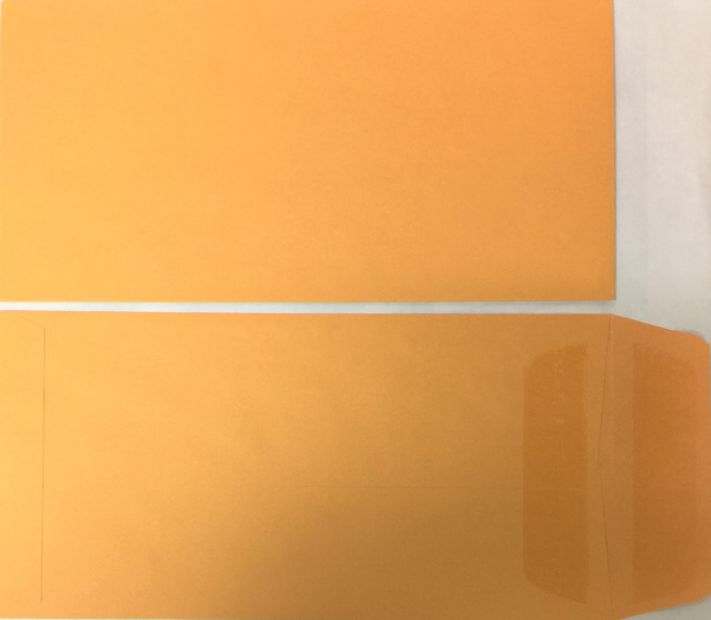 LPEV-SS • Blank Self Seal License Plate Envelopes